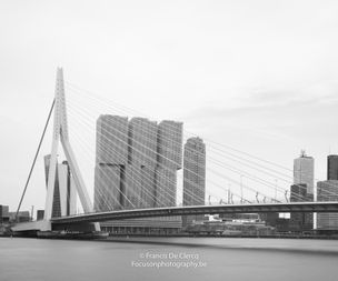 Francis De Clercq_20170430-DSC_7113_Rotterdam