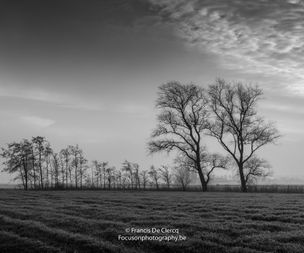 Francis De Clercq_20171202-DSC_2772_landschap polders